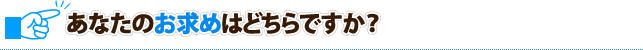 あなたのお求めはどちらですか？